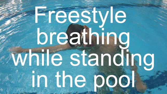 фото для Freestyle breathing while standing in the pool