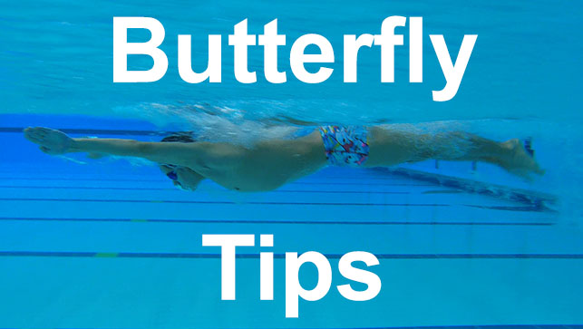 фото для Tips to correct the most common mistakes in Butterfly