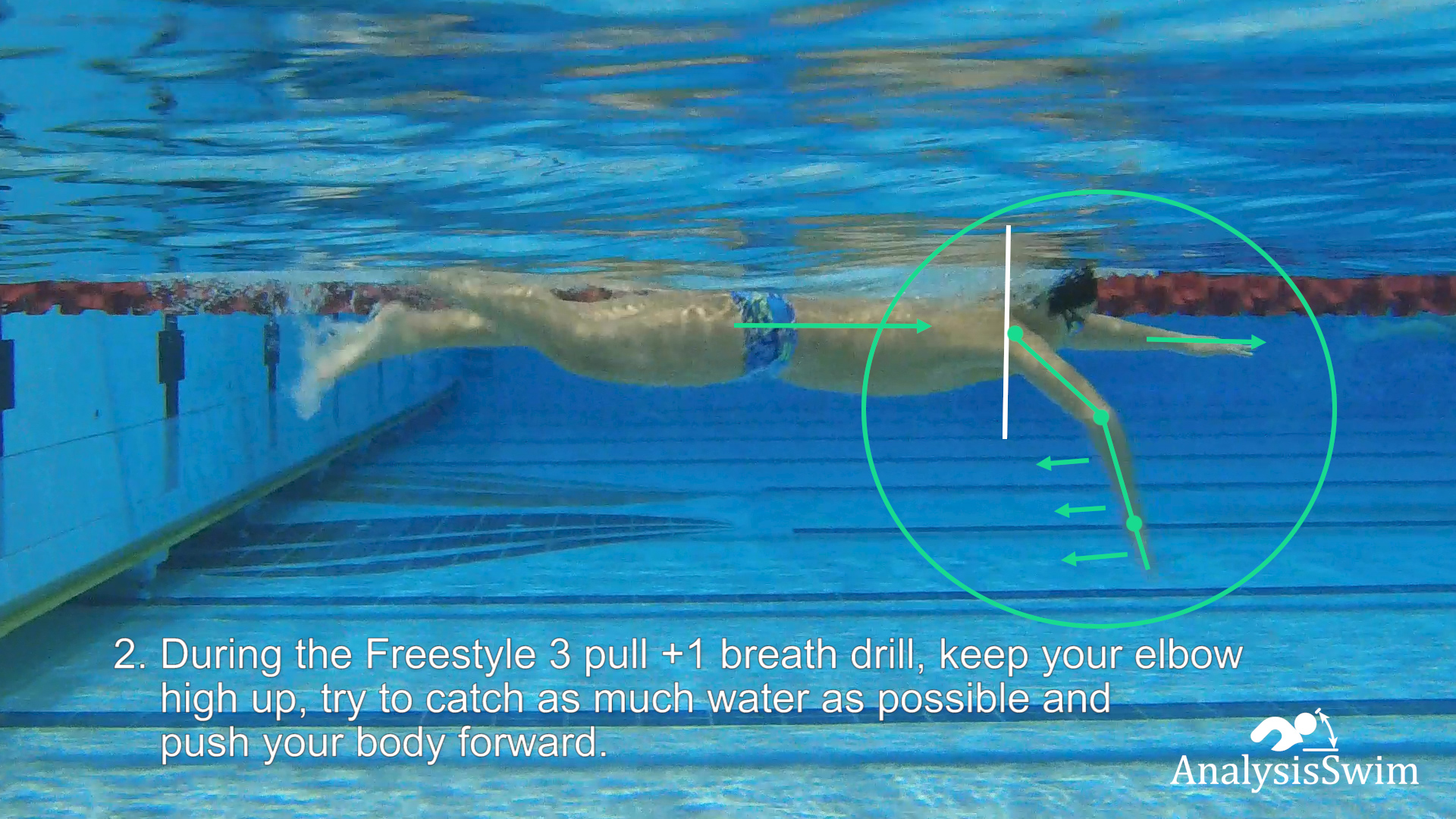 Freestyle 3 1