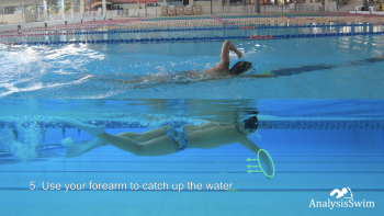 Fist Freestyle Swim Drill